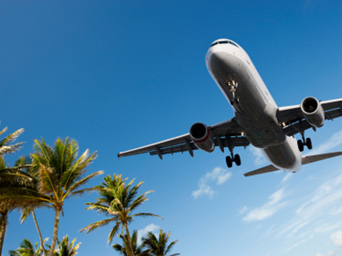 Cayman airplane over palm trees